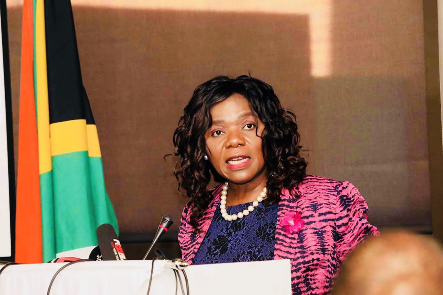Thuli Madonsela: A timeline